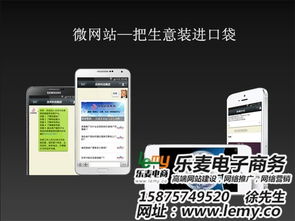 微信網站開發制作 樂麥專注網站設計 在線咨詢 微信網站