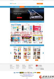 日本代購網(wǎng)站建設(shè)公司,雅虎代拍代標(biāo)系統(tǒng)