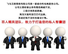 淘寶代運(yùn)營模式解析 飛鳥互聯(lián)如何通過在線咨詢提供專業(yè)信息咨詢服務(wù)